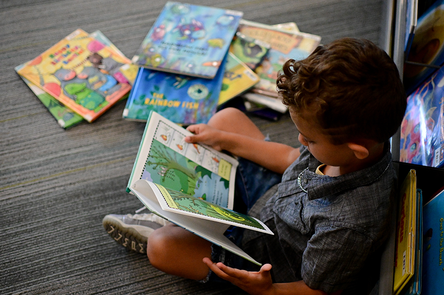 Young boy reading different books