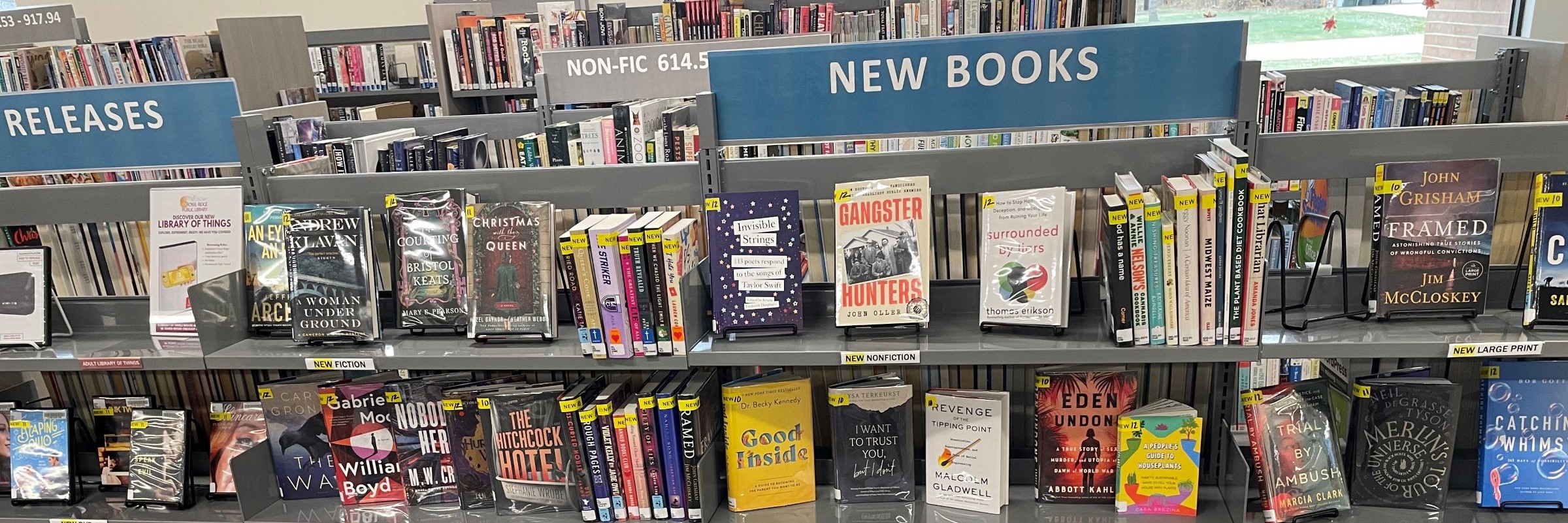 Rows of grey shelves with some books displayed face-front labeled "New Books"