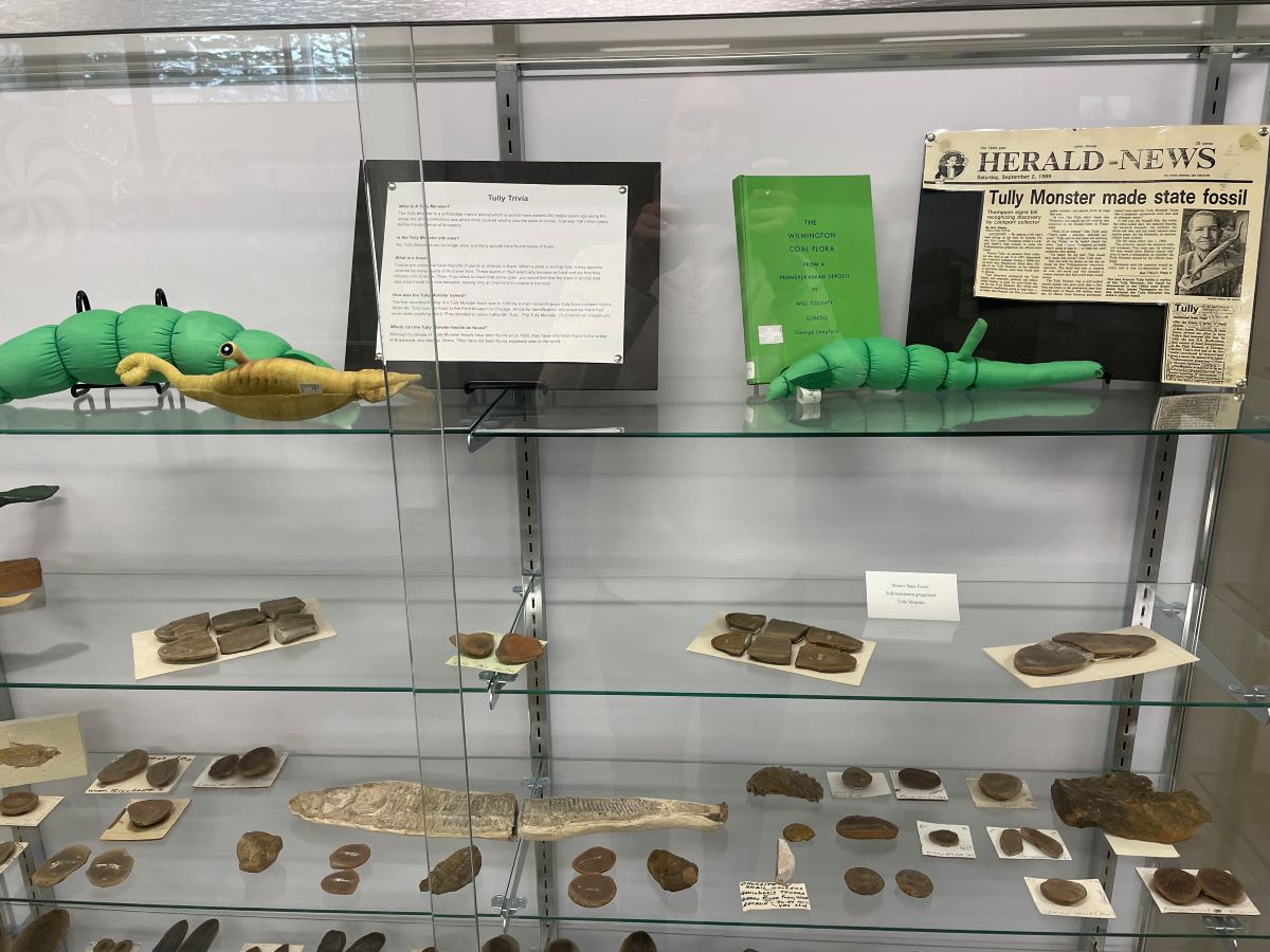 Glass display case interior with displays of fossils and articles related to the "Tully Monster"